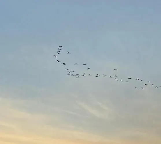 Casita Lopez House *